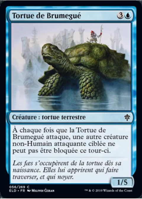 Tortue de Brumegué