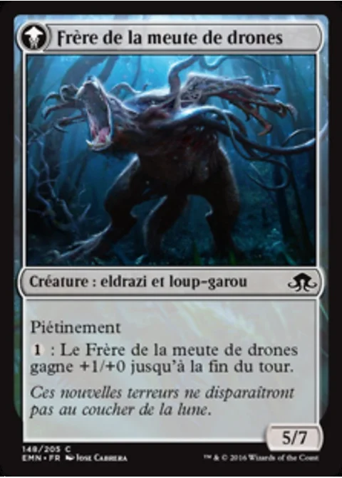 Frère de la meute de drones