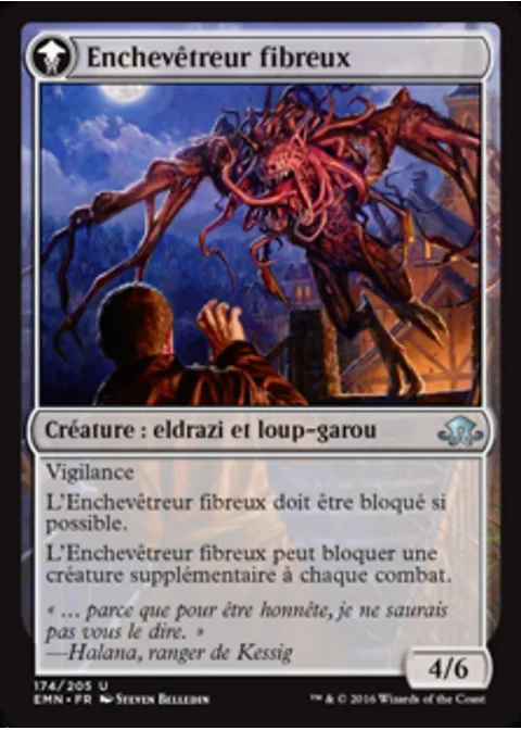 Enchevêtreur fibreux