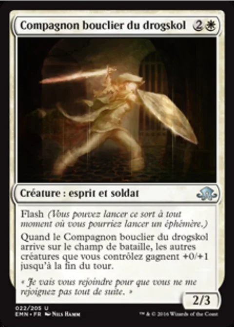 Compagnon bouclier du drogskol