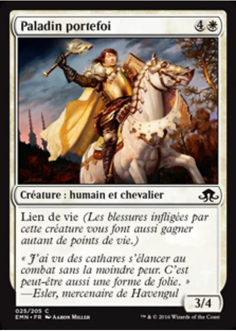 Paladin portefoi