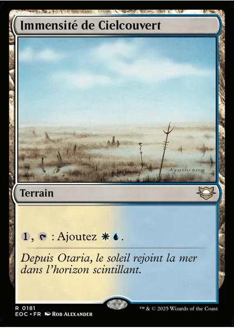 Immensité de Cielcouvert