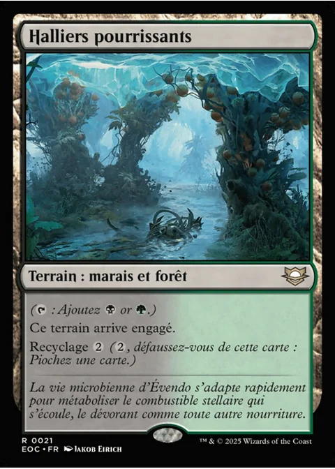 Halliers pourrissants