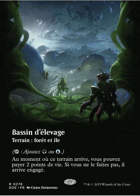Bassin d'élevage