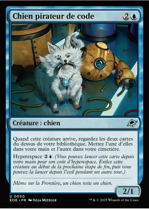 Chien pirateur de code