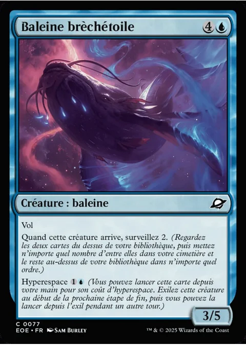 Baleine brèchétoile