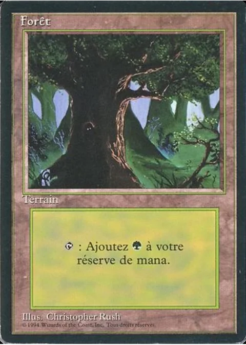 Forêt