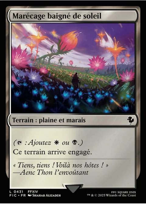 Marécage baigné de soleil