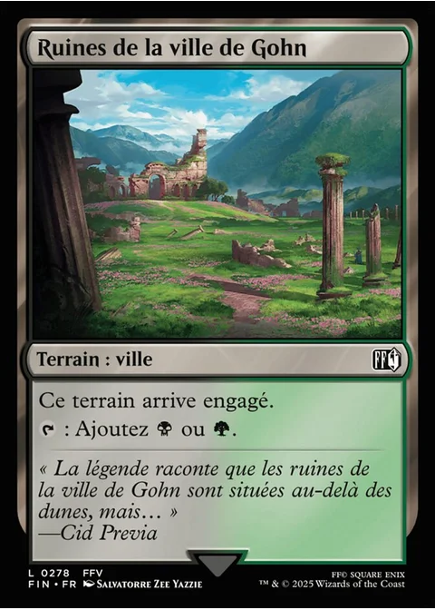 Ruines de la ville de Gohn
