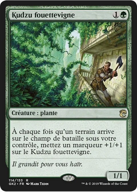 Kudzu fouettevigne