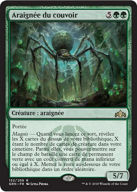 Araignée du couvoir