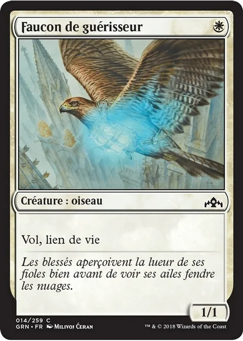 Faucon de guérisseur