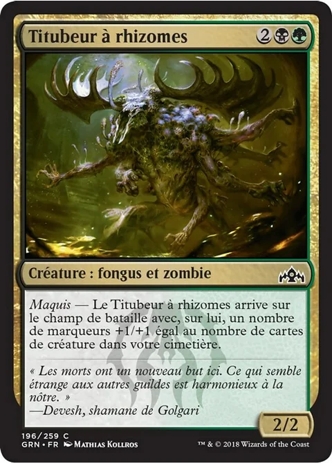 Titubeur à rhizomes