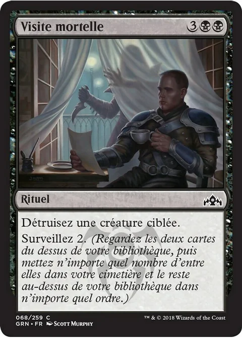 Visite mortelle
