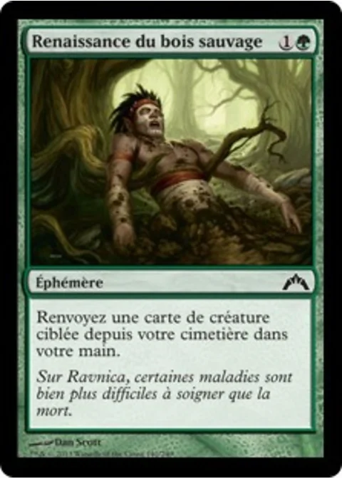 Renaissance du bois sauvage