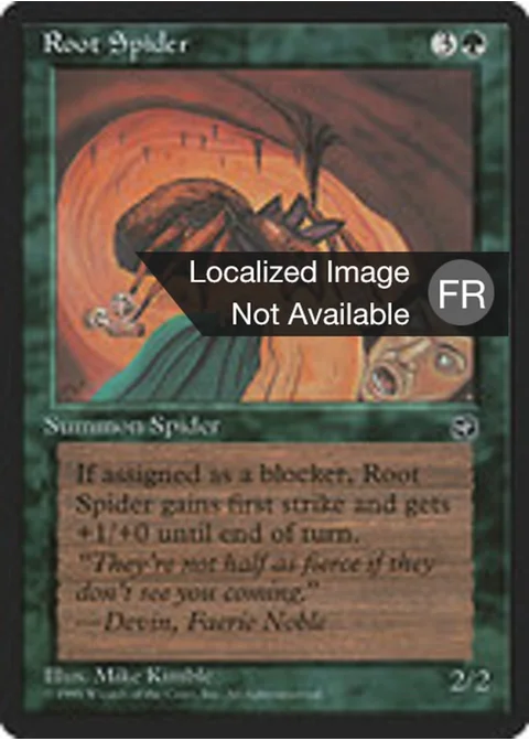 Araignée des souches