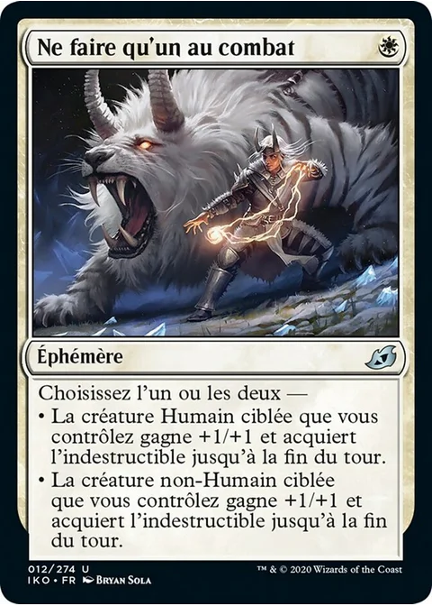 Ne faire qu'un au combat