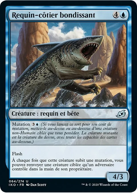 Requin-côtier bondissant