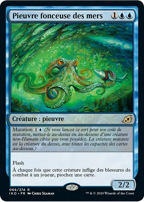 Pieuvre fonceuse des mers