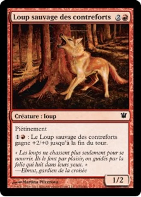 Loup sauvage des contreforts