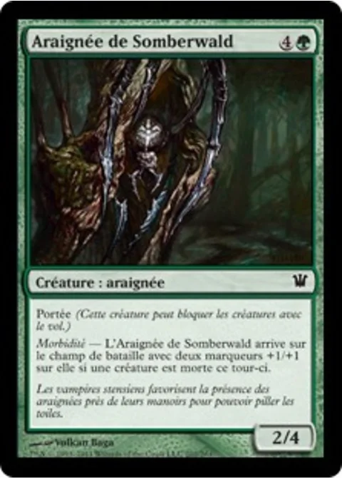Araignée de Somberwald