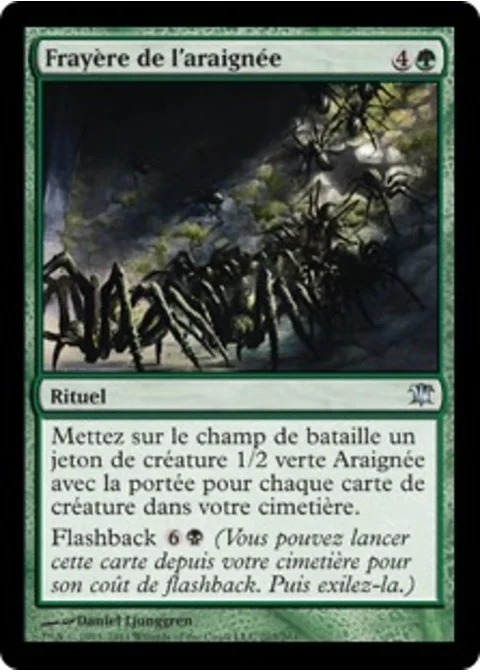 Frayère de l'araignée