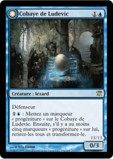 Cobaye de Ludevic