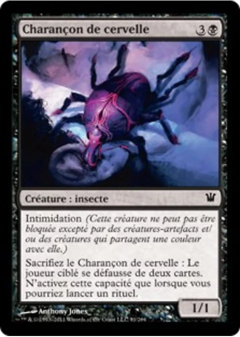 Charançon de cervelle