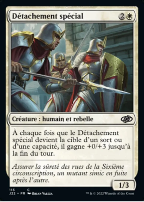 Détachement spécial