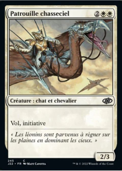 Patrouille chasseciel