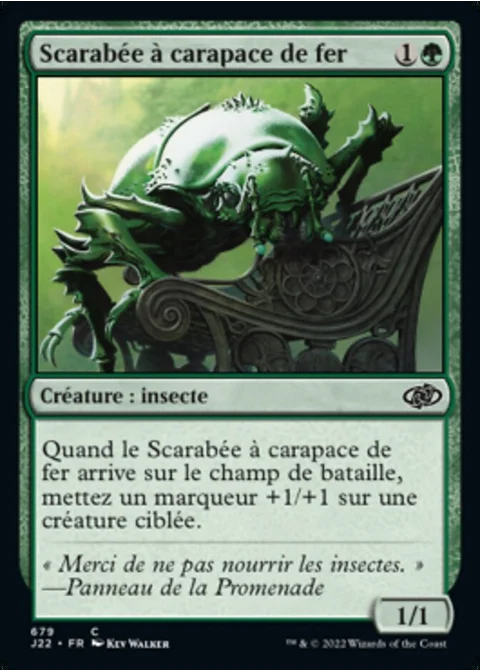 Scarabée à carapace de fer