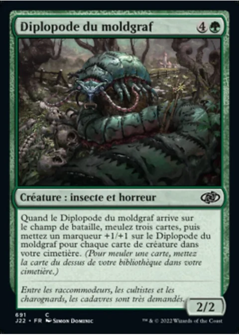 Diplopode du moldgraf