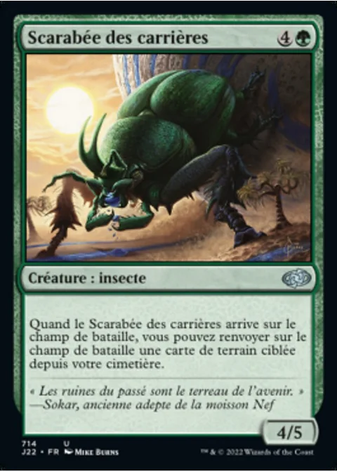 Scarabée des carrières