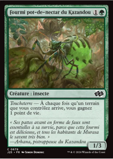 Fourmi pot-de-nectar du Kazandou