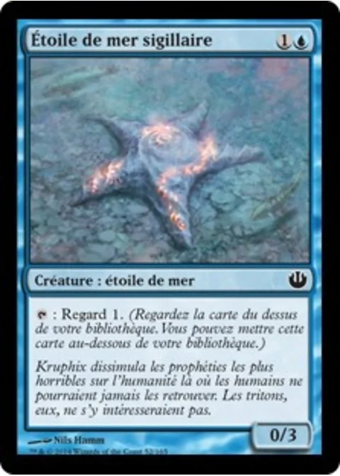Étoile de mer sigillaire