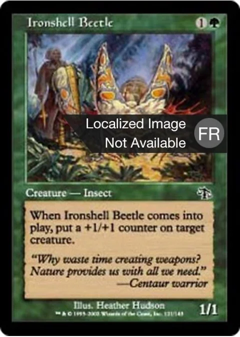 Scarabée à carapace de fer