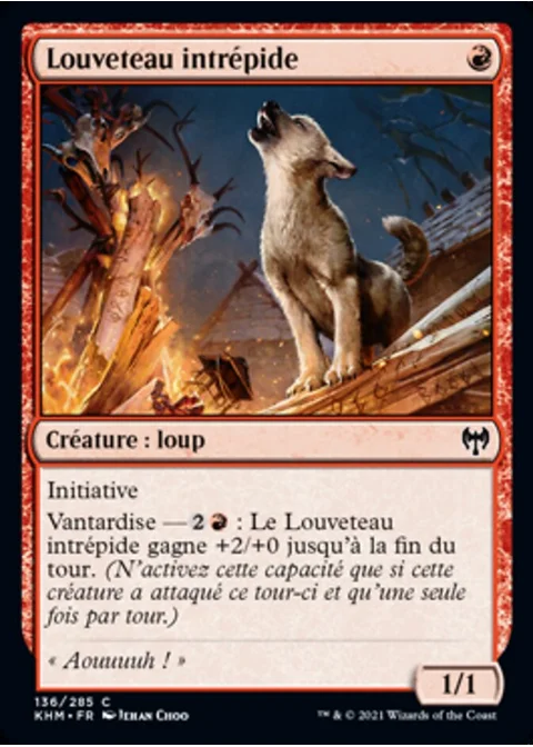 Louveteau intrépide