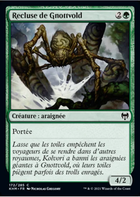 Recluse de Gnottvold