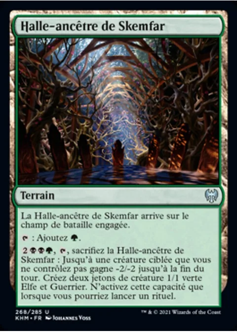 Halle-ancêtre de Skemfar