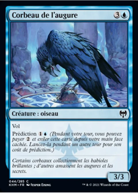 Corbeau de l'augure