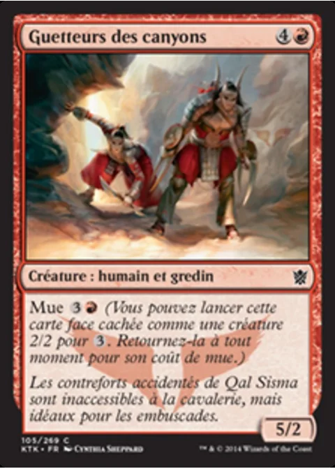 Guetteurs des canyons