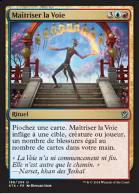 Maîtriser la Voie