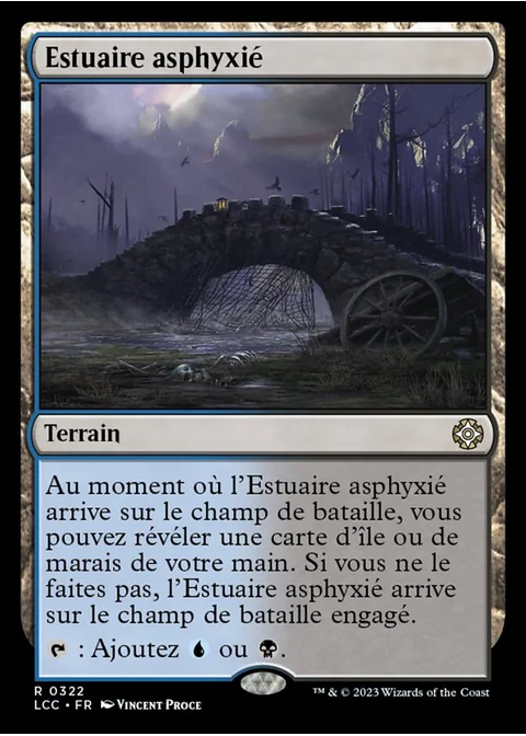 Estuaire asphyxié