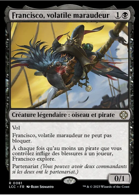 Francisco, volatile maraudeur
