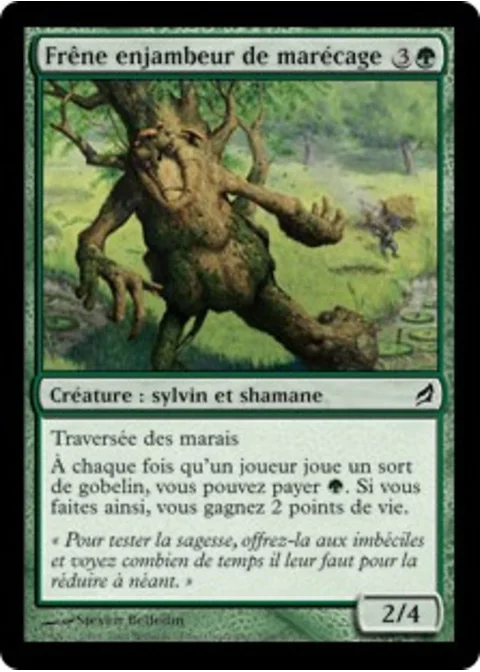 Frêne enjambeur de marécage