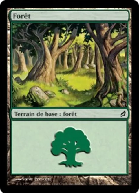 Forêt