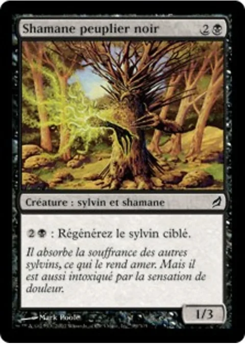 Shamane peuplier noir
