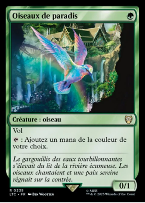 Oiseaux de paradis
