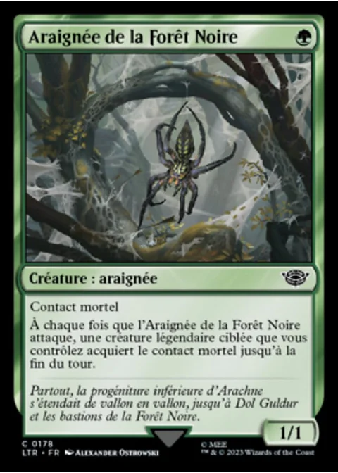 Araignée de la Forêt Noire