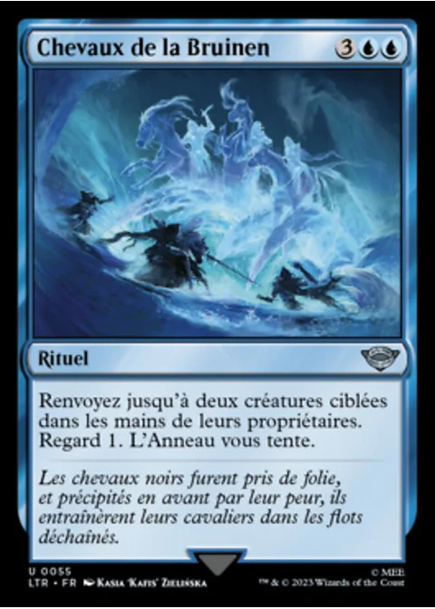 Chevaux de la Bruinen